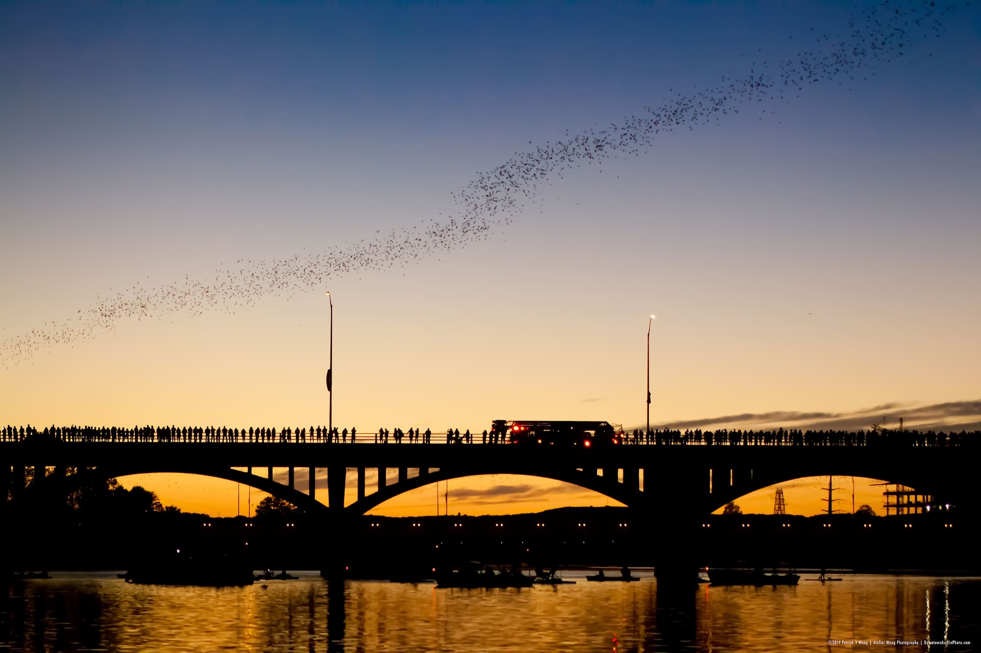 Austin skyline and Congress Avenue Bridge at dusk